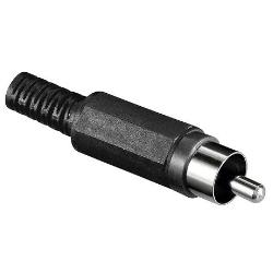 Tulpenstecker Abbildung