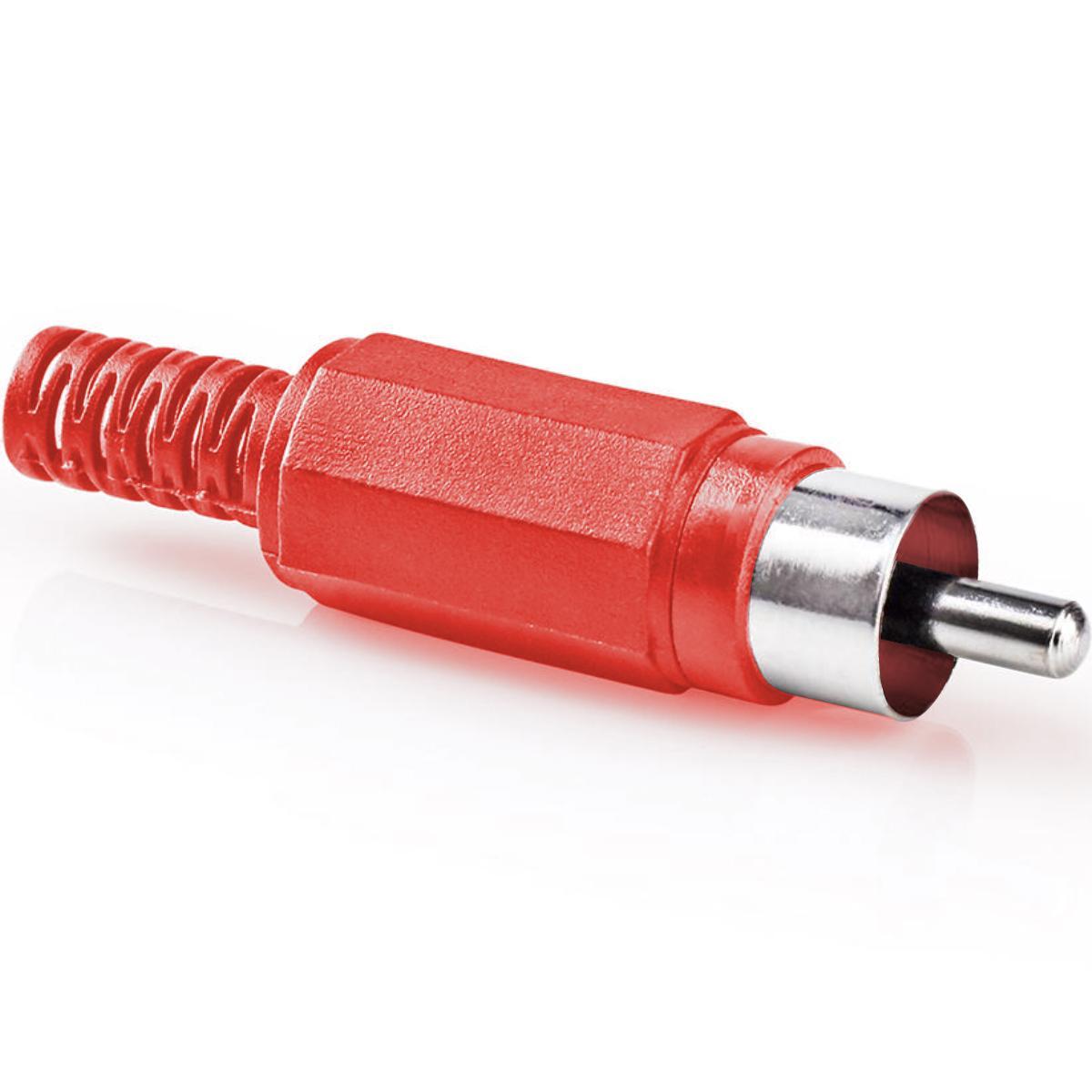 Tulpenstecker Abbildung