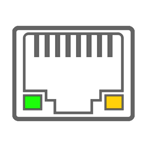 RJ45-Netzwerkkarte Abbildung