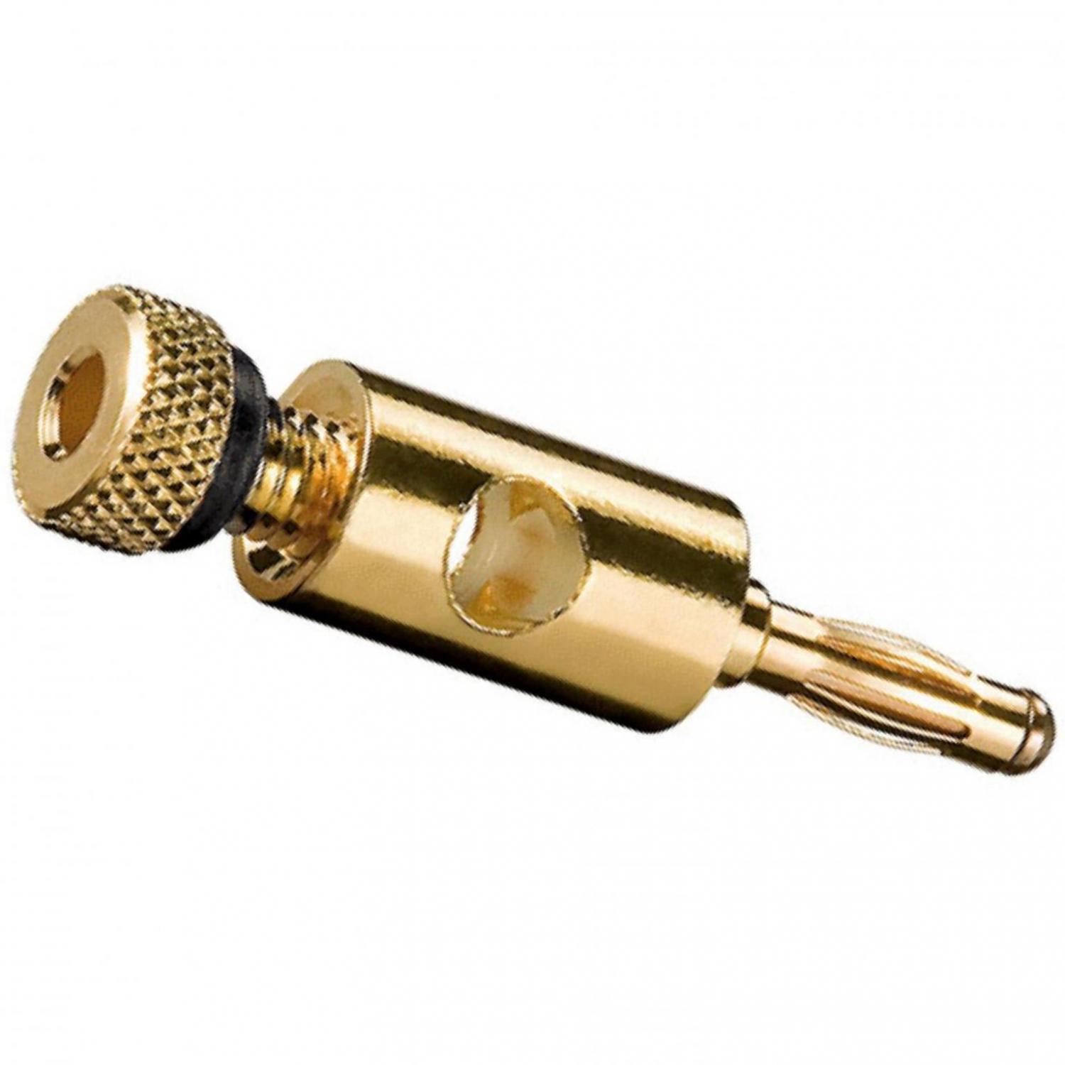 Bananenstecker Abbildung