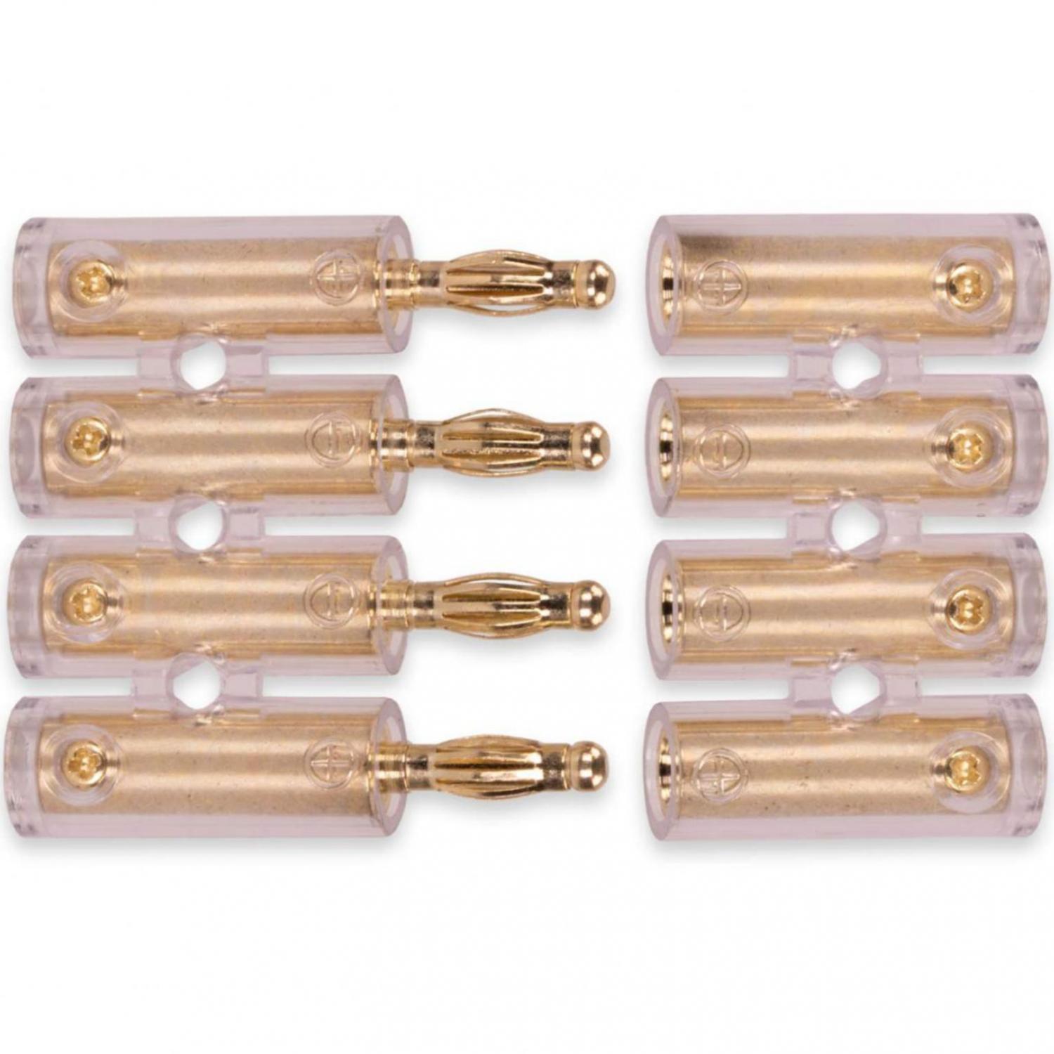 4-poliger Bananenstecker Abbildung