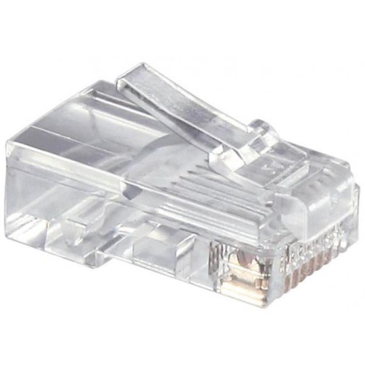 RJ45-Stecker bild