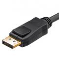 DisplayPort Kabel bild