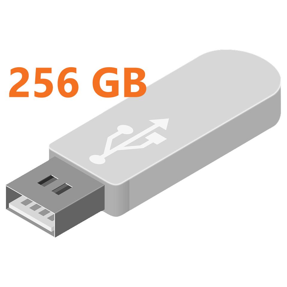 256 GB Abbildung