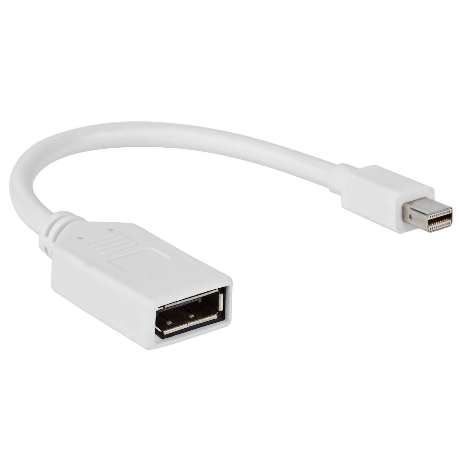 Mini DisplayPort auf DisplayPort Adapter