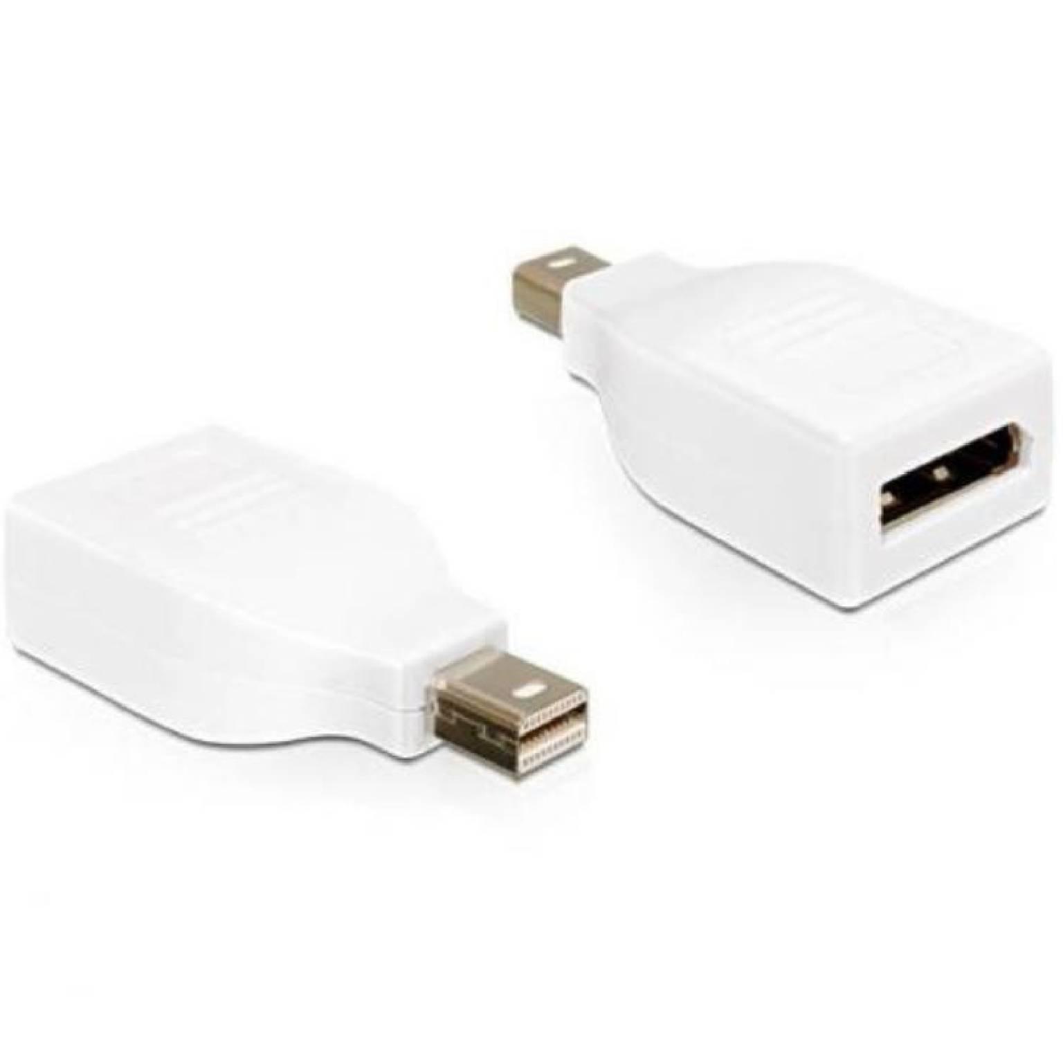 Mini DisplayPort naar DisplayPort Adapter