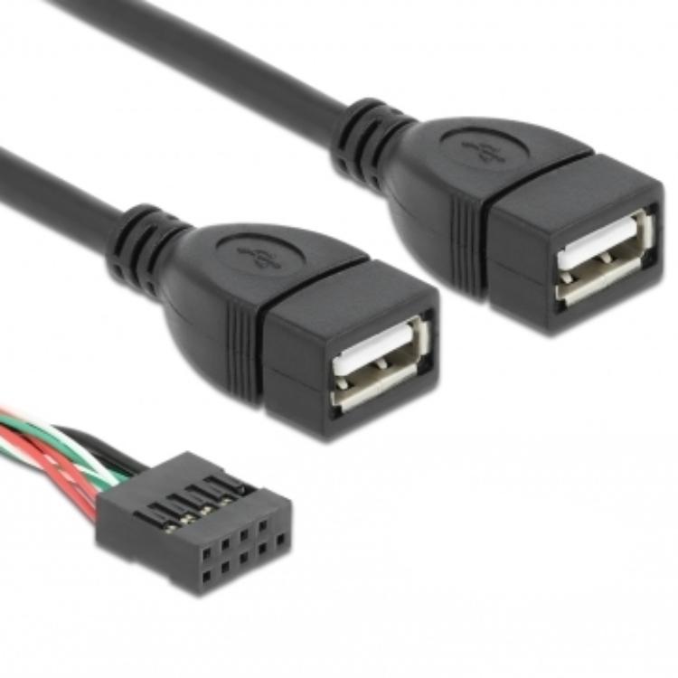 USB 2.0 Pinheader auf 2× USB-A Kabel – Delock
