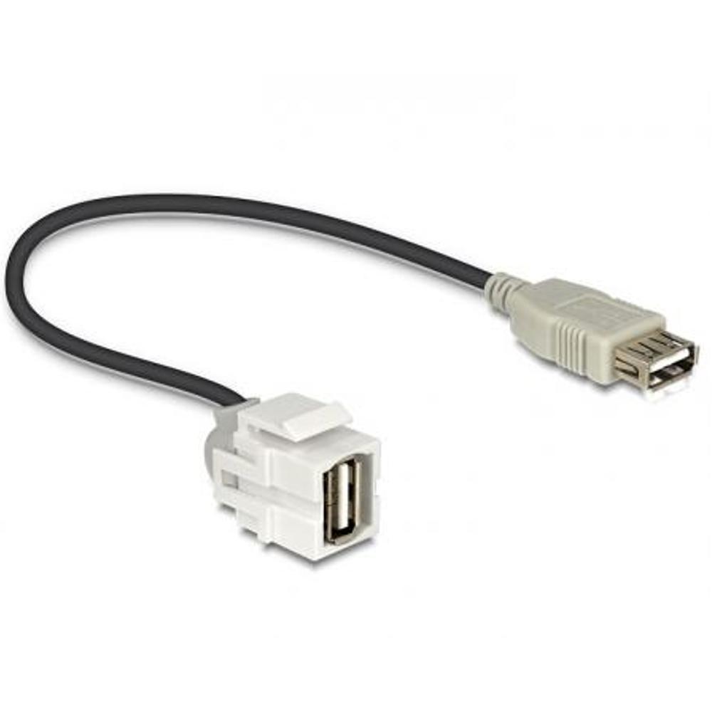 Keystone USB 2.0 - Delock