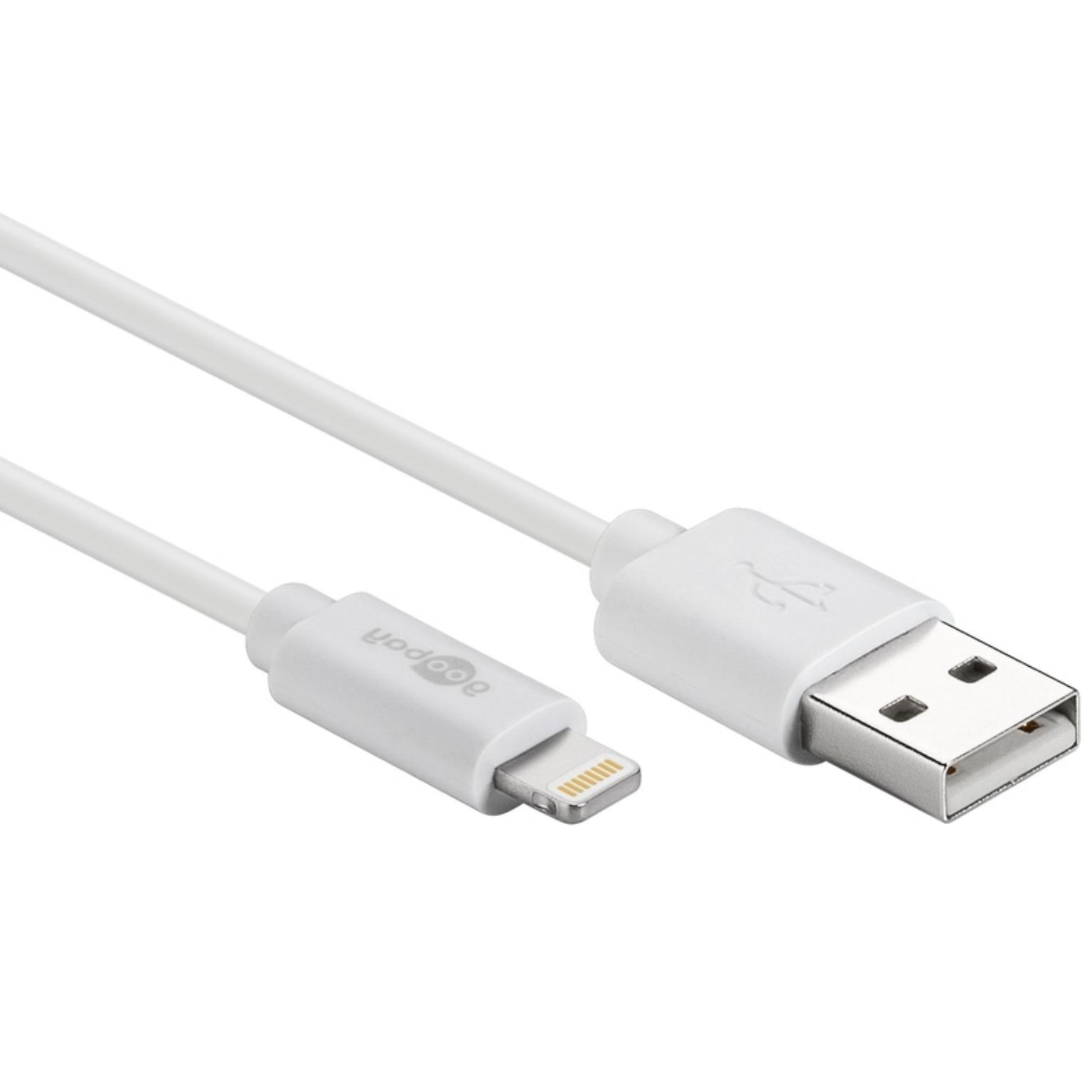 USB Kabel für iPad Pro - Goobay