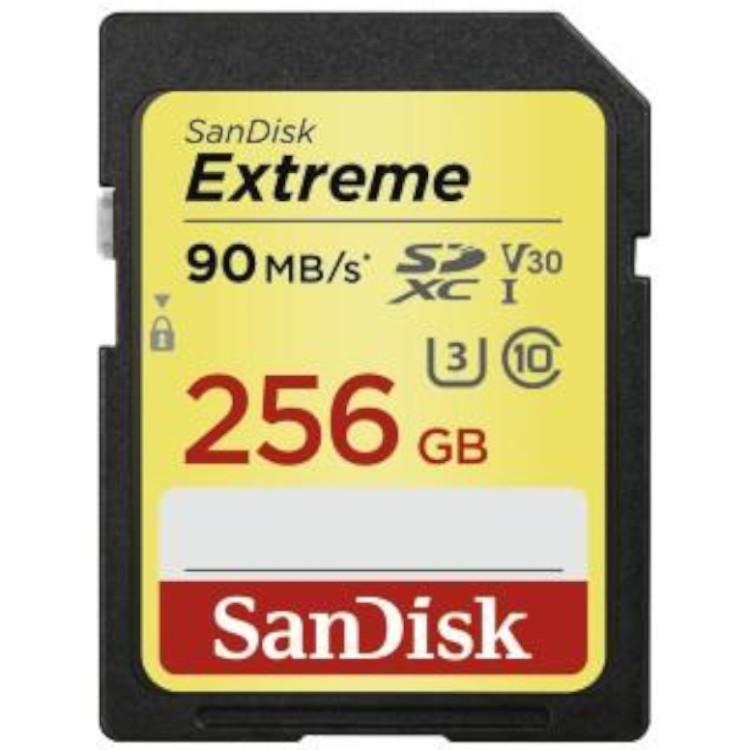 SD-Karte - 256 GB - Sandisk - SanDisk