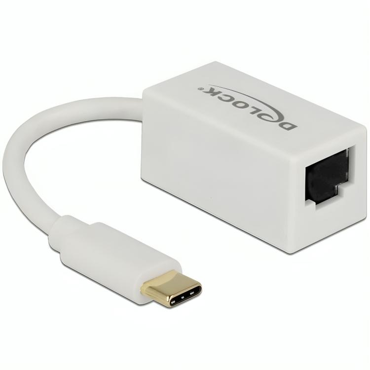 USB C netwerkadapter - Delock