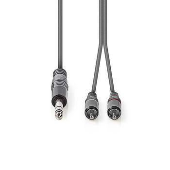 Stereo Audiokabel 6,35 mm Stecker 2x RCA Stecker 3,0 m Grau - Nedis