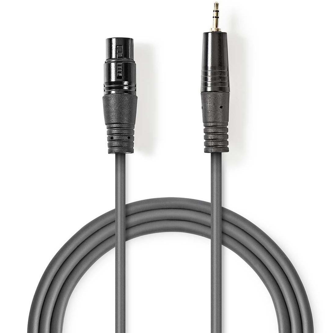 Symmetrisches XLR Audiokabel XLR 3 polige Buchse 3,5 mm Stecker 1,0 m