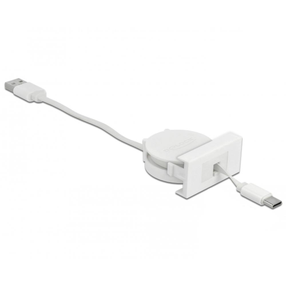 Delock Easy 45 Modul USB 2.0 Einsetzbares Kabel USB Typ-A auf USB Typ - Delock