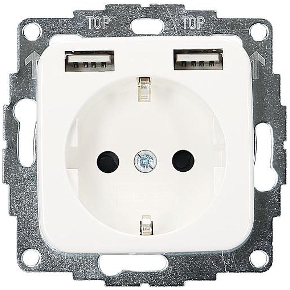 USB A Steckdose - 2USB