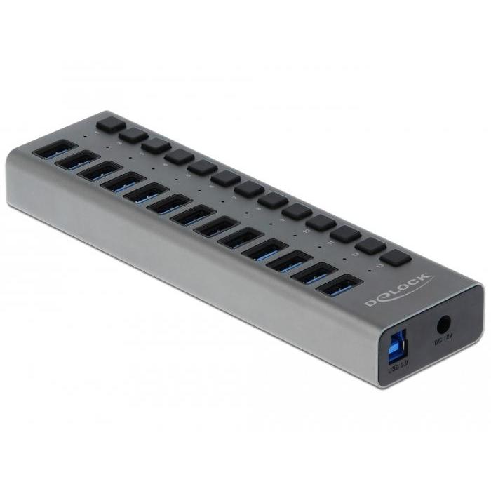 USB A Hub - 13 Ports - Delock