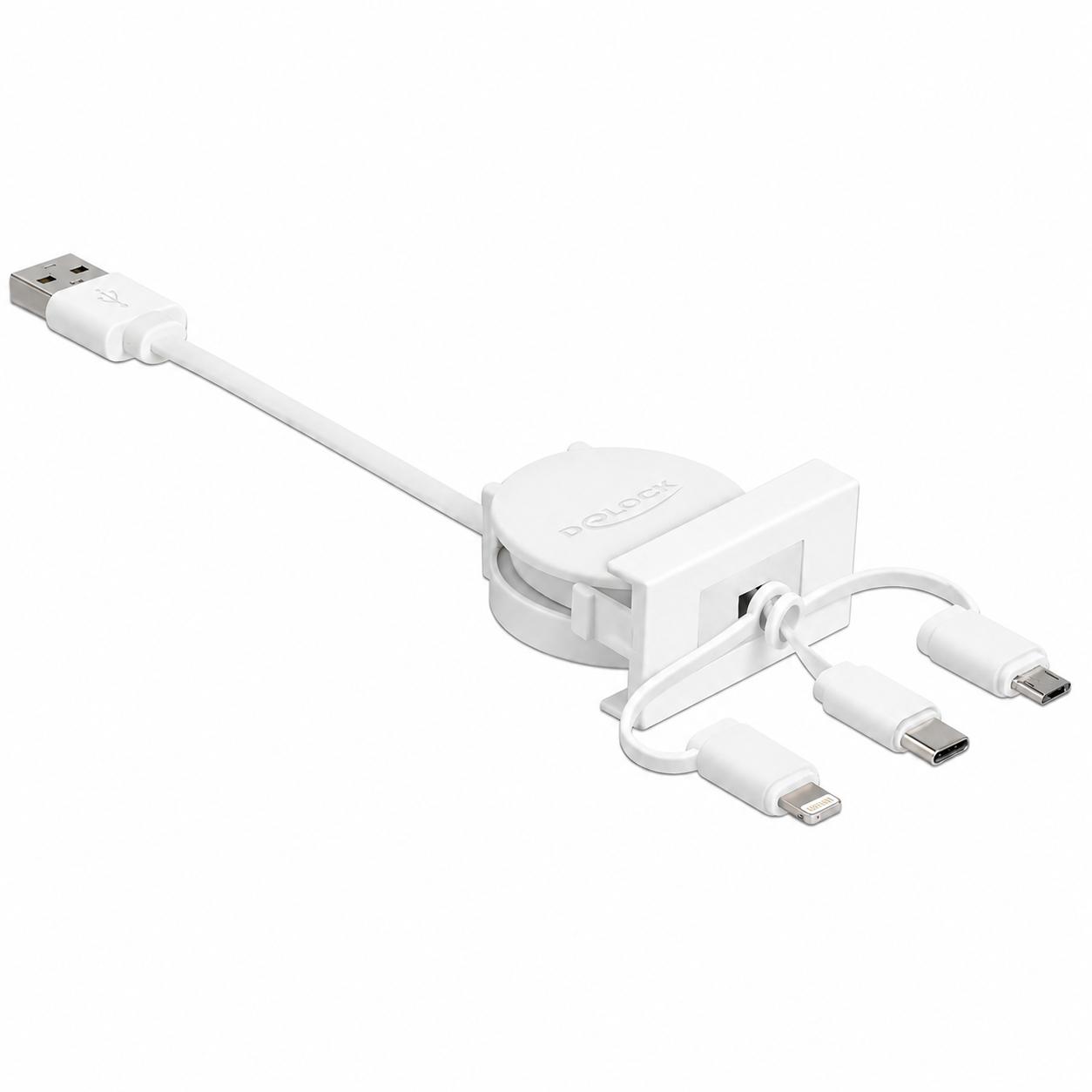 Delock Easy 45 USB 2.0, USB-A > USB-C™, Lightning, Micro USB. 12/50 cm.