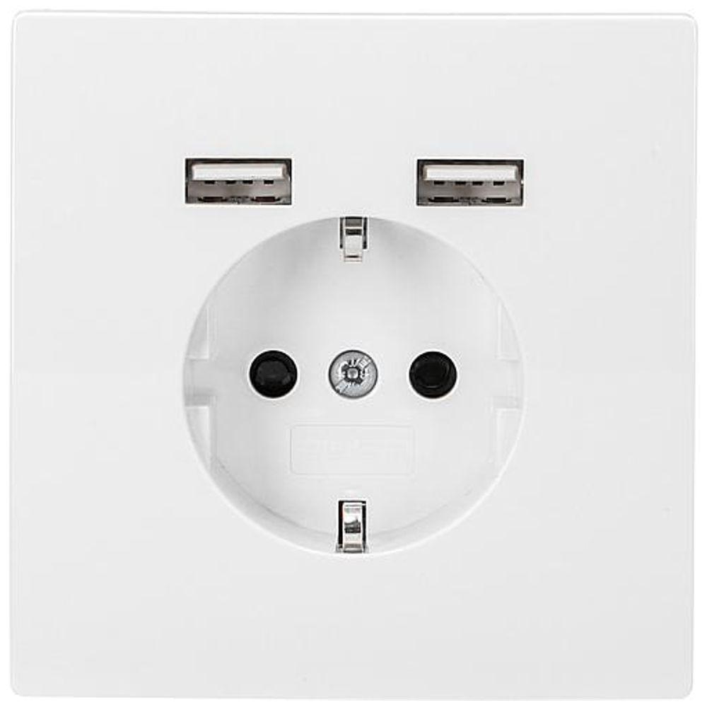 USB A Einbau-Steckdose - 2USB