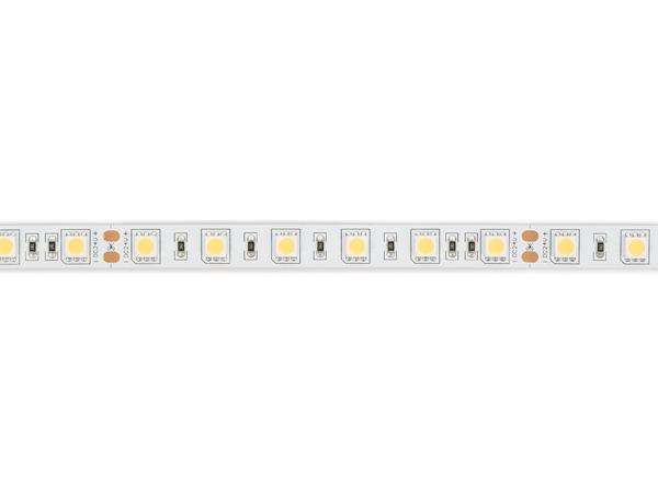 FLEXIBLE LED-STRIP - WEISS 6500K - 60 LEDs/m - 5 m - 24 V - IP20 - CRI90 - EtiamPro
