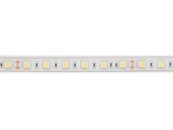FLEXIBLER LEDSTRIP - WEISS 6500K - 60 LEDs/m - 5 m - 24 V - IP68 - CRI90 - EtiamPro