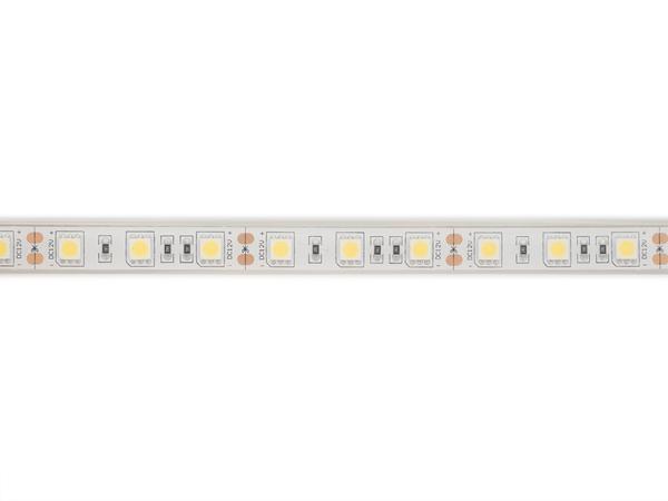 FLEXIBLER LEDSTRIP - WEISS 6500K - 60 LEDs/m - 5 m - 12 V - IP68 - CRI90 - EtiamPro