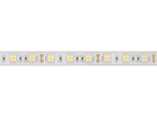 FLEXIBLE LEDSTRIP - WEISS 4000K - 60 LEDs/m - 5 m - 12 V - IP68 - CRI90 - EtiamPro