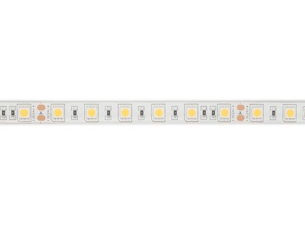 FLEXIBLE LED-STRIP - WEISS 4000K - 60 LEDs/m - 5 m - 24 V - IP61 - CRI90 - EtiamPro