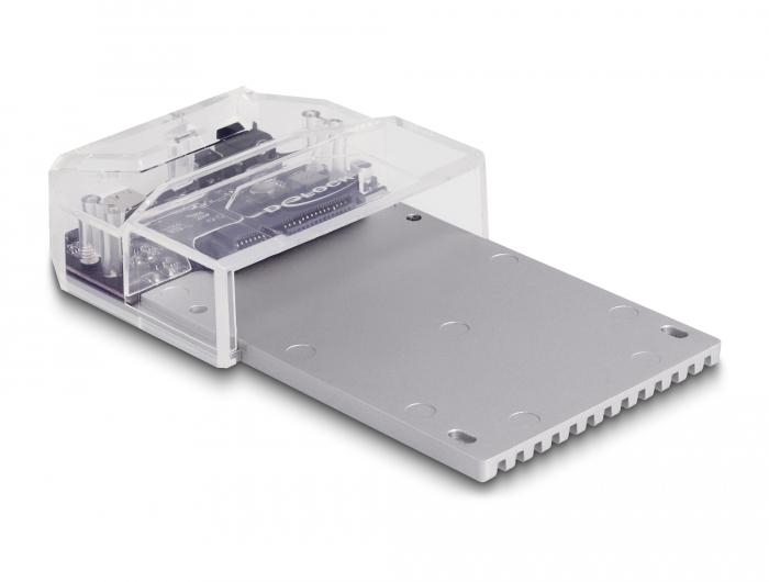 Delock USB Typ-C™ Docking Station für 1 x U.2 SSD - Delock