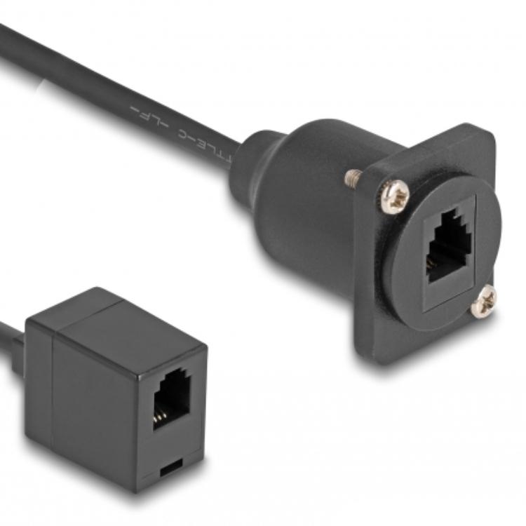 Delock D-Type RJ10 Kabel Buchse auf Buchse schwarz 30 cm