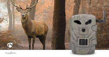 Wildkamera 1080p@30fps 30,0 MPixel 2 MPixel CMOS IP66 Schwarz - Nedis