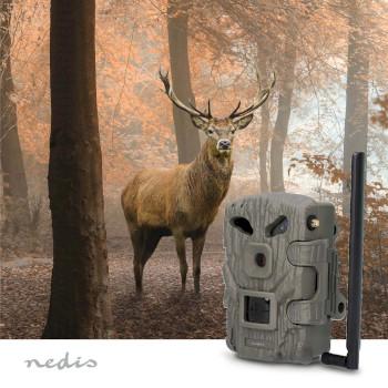 Wildkamera 1080p@30fps 30,0 MPixel 2 MPixel CMOS IP66 Schwarz - Nedis