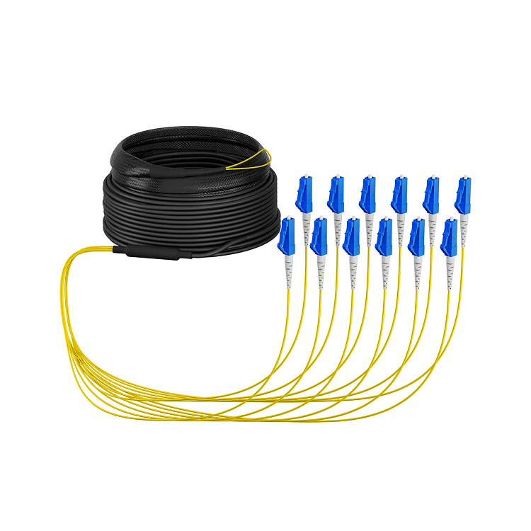 Trunkkabel U-DQ(ZN)BH OS2 12E (1x12) LC-LC 40m Dca LSZH G657A1 - EFB