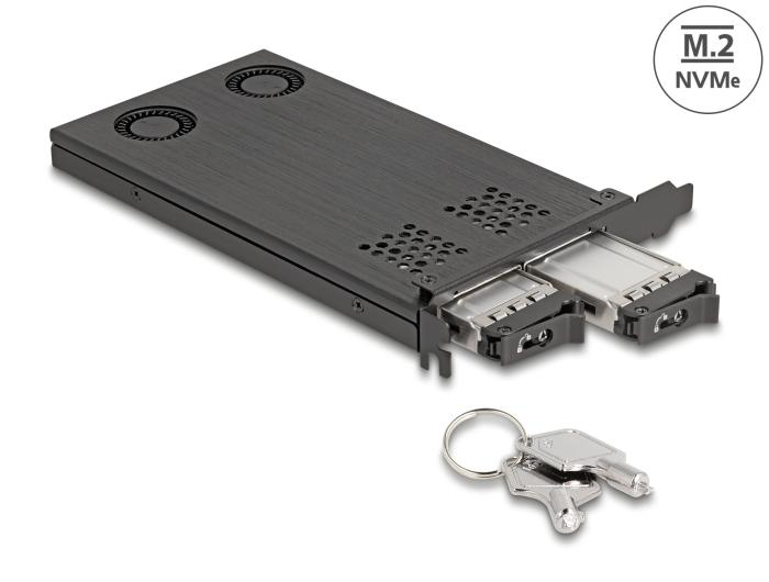Delock PCI Express x16 Karte Wechselrahmen für 2 x M.2 NVMe SSD - Bifurca
