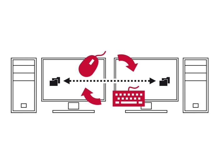 Delock USB Type-C™ 5 Gbps Datenverbindungskabel + KM Switch 2 m