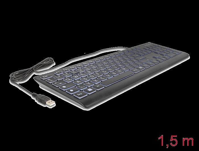 Delock USB Tastatur kabelgebunden 1,5 m schwarz mit XXL Buchstaben und Beleuchtung