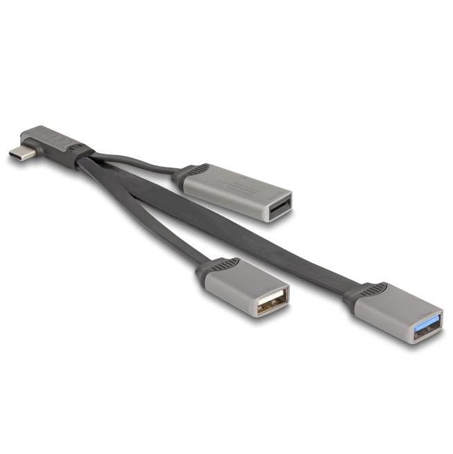 Delock 2-Port-USB-Hub inklusive SD und Micro-SD-Cardreader mit USB Type-C