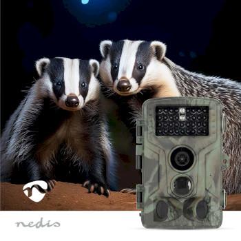 Wildkamera 4K@10fps 50 MPixel 5 MPixel CMOS IP65 Schwarz No-Glow - Nedis
