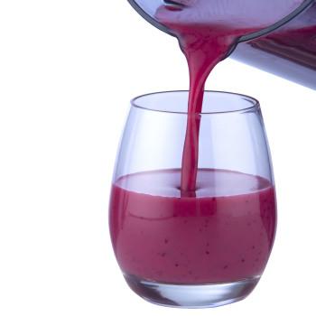 Vakuum-Mixer / Comfortjuicer mit 5 Funktionen und 1,5 l Kunststoffbehälter - Trebs