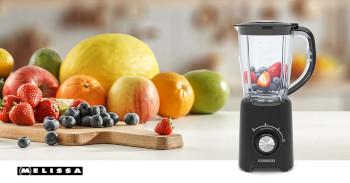 Standmixer 800 W 2 Geschwindigkeiten + Puls 4 Edelstahlklingen - MELISSA