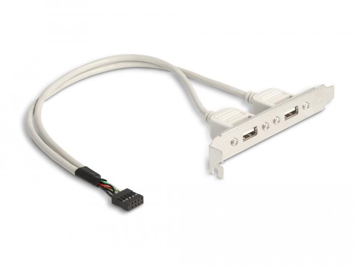 Delock Steckplatzblende 2 x USB 2.0 Typ A Buchse extern