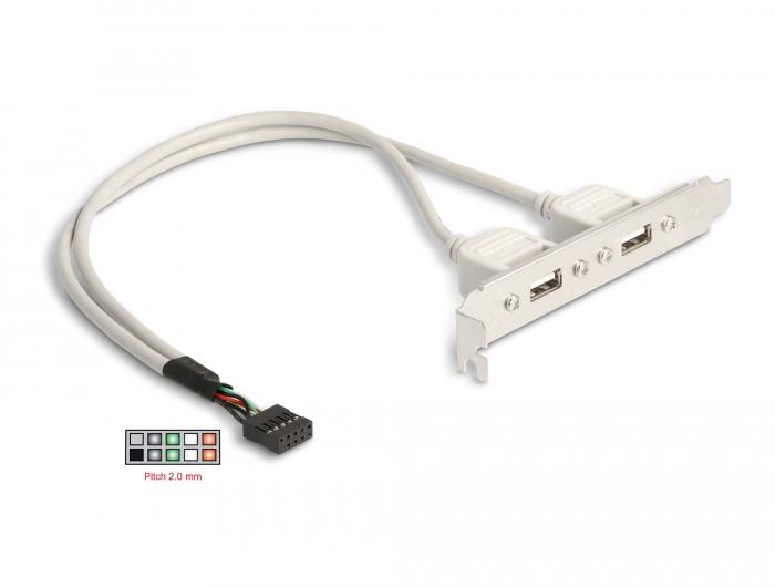 Delock Steckplatzblende 2 x USB 2.0 Typ A Buchse extern
